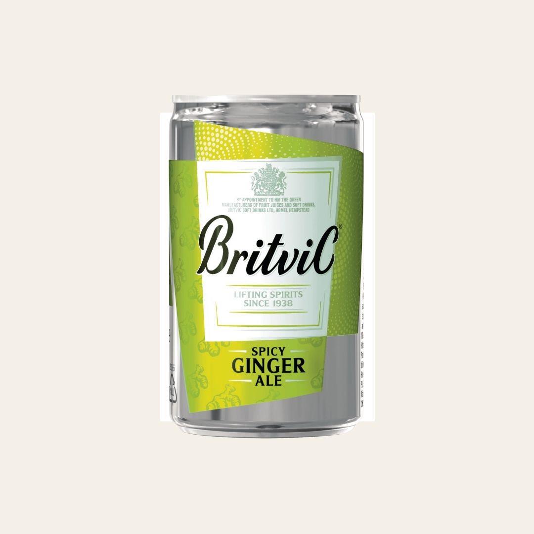 Britvic Ginger Ale Can